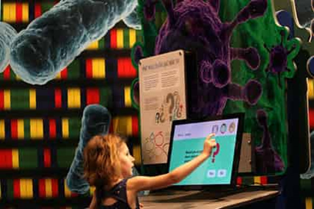 Биологи научились программировать ГМО-бактерии