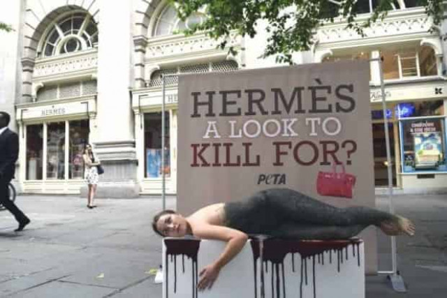 Люксовой бренд Hermès: миллионное состояние и убийство животных для создания сумок
