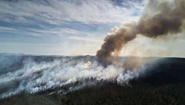 Дым от лесных пожаров в России почувствовала столица Монголии