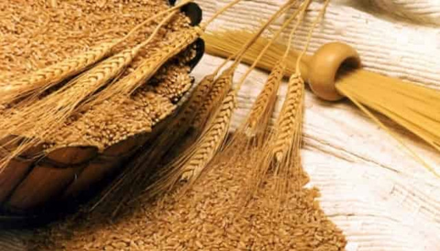 Ukraine exports over 3.7 mln tonnes of grain in July