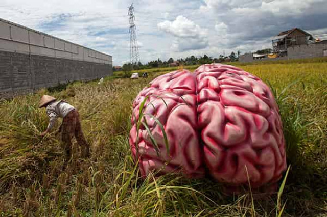 Ошибочка вышла