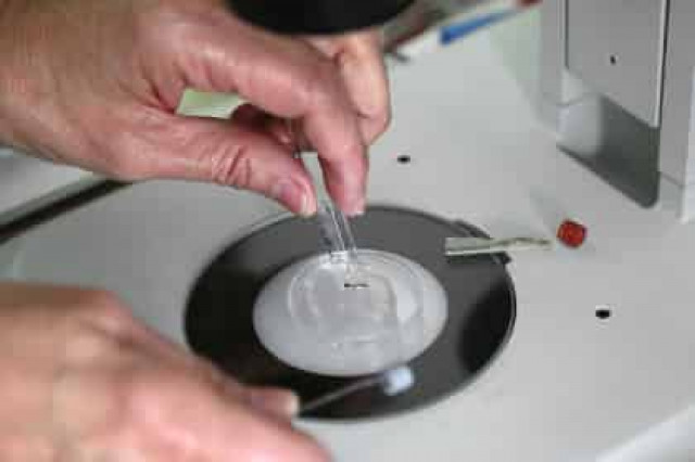 ВОЗ признала вспышку лихорадки Зика угрозой мирового масштаба