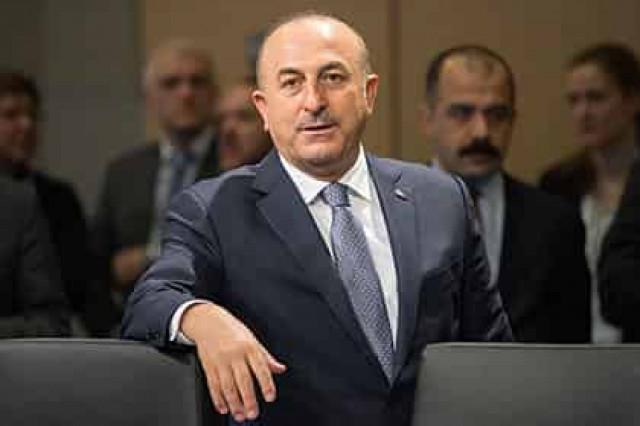 Москва и Анкара решили предотвращать столкновения оппозиции и армии у Аль-Баба