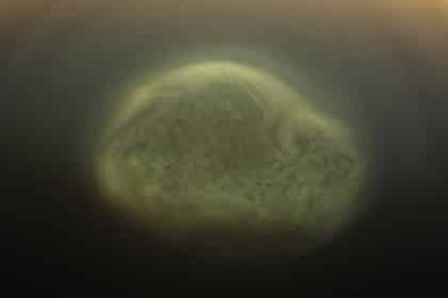 На Титане нашли облако из синильной кислоты