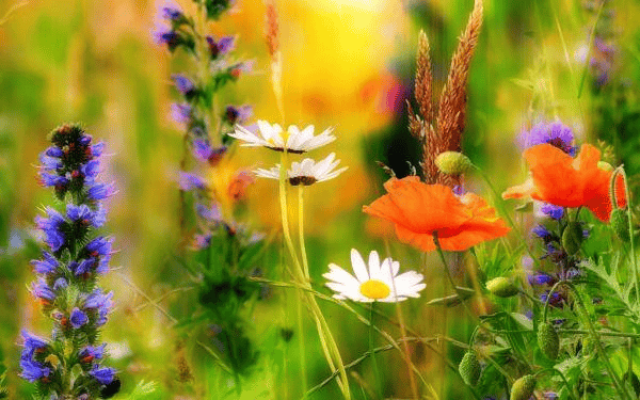 3 августа: какой сегодня праздник и приметы дня