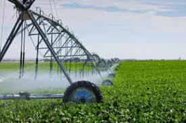 Цена оккупации: в Крыму в 30 раз сократилась площадь орошаемых земель