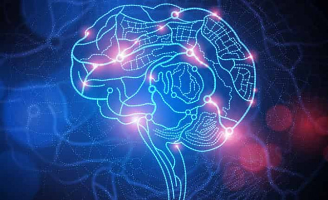 Наш IQ высок как никогда, но умнее мы не становимся