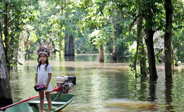 Природные решения по изменению климата
