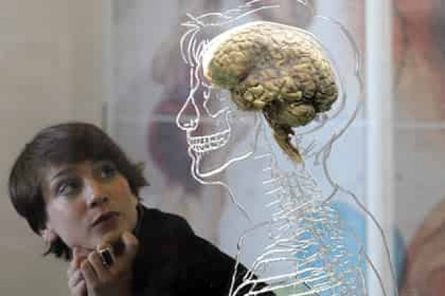 Найден способ предотвратить смерть мозга
