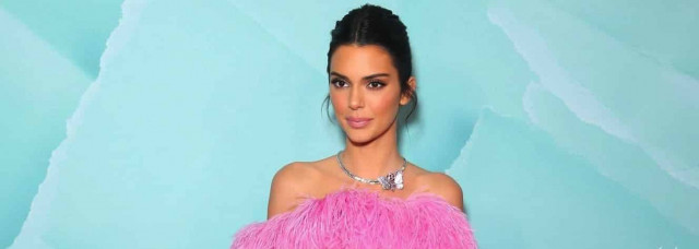 Кендалл Дженнер попала в давку