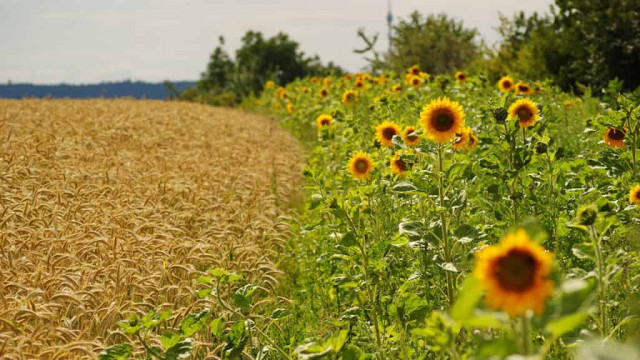 5 августа: какой сегодня праздник и приметы дня