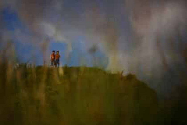 США заняли первое место среди стран Запада по числу убийств детей