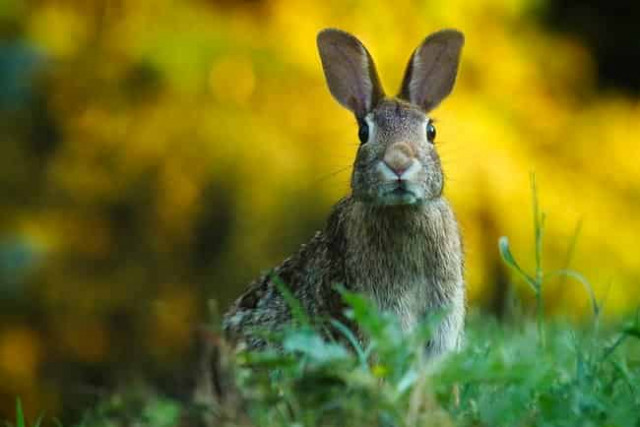 6 сентября: какой сегодня праздник и приметы дня