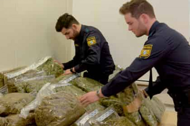Немецкие полицейские нашли пользу в марихуане
