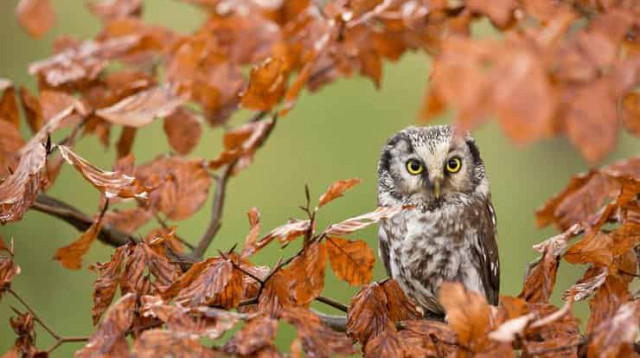 7 ноября: какой сегодня праздник