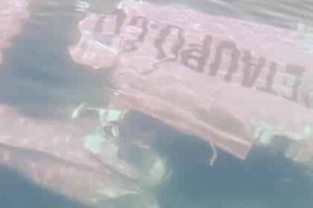 В Новой Зеландии пассажиры успели выпрыгнуть из падающего самолета
