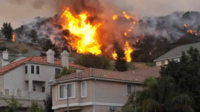 В Калифорнии из-за пожаров введен режим ЧС
