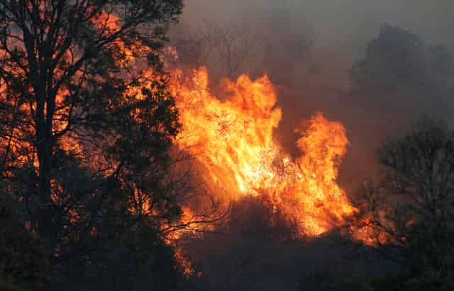 Australia's east coast battles more than 100 bushfires, 21 homes destroyed