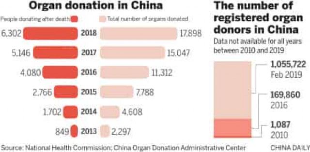 China sees more body donors