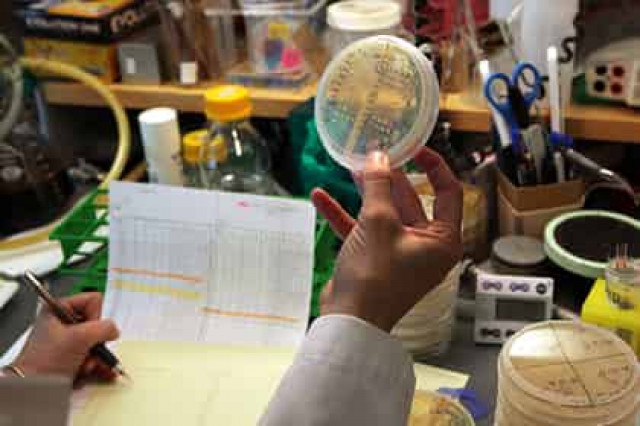 Найден ключ к продлению жизни и победы над раком
