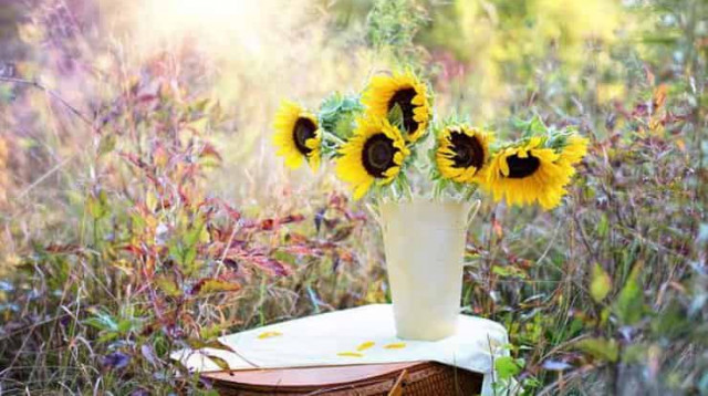 9 сентября: какой сегодня праздник и приметы дня