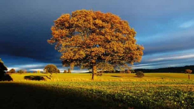 9 октября: какой сегодня праздник