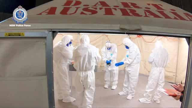 Australian police take 'black box' off cruise ship in coronavirus homicide probe