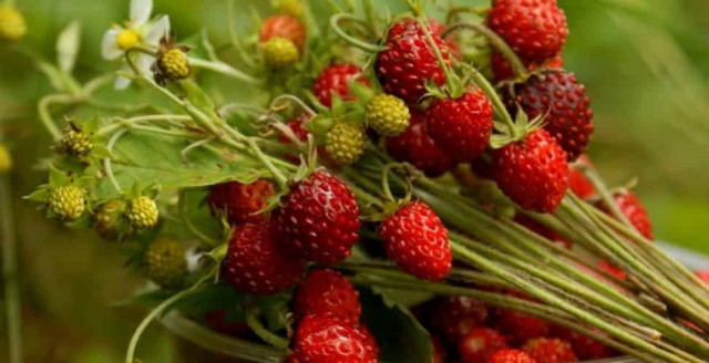 9 июля: какой сегодня праздник и приметы дня