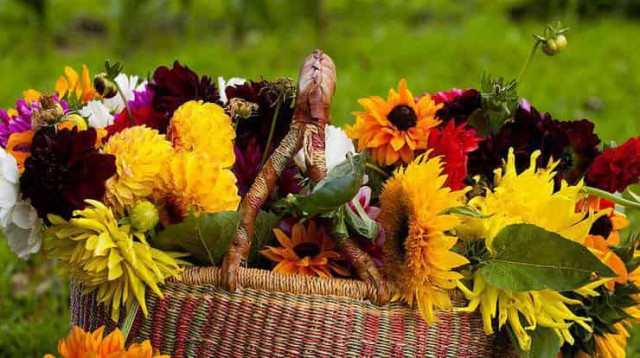 10 сентября: какой сегодня праздник