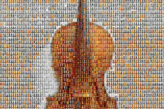 Скрипки эволюционировали подобно живым организмам