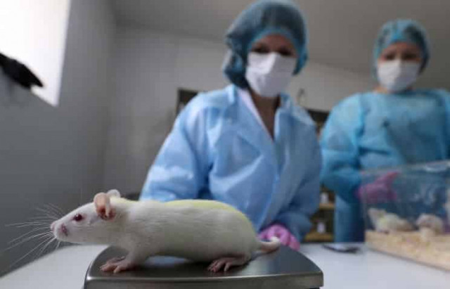 Шведские ученые: употребление антиоксидантов способствует росту раковых опухолей