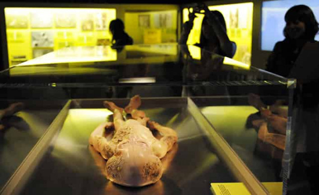 Ошеломительная теория: Почему мы не встречаем инопланетян