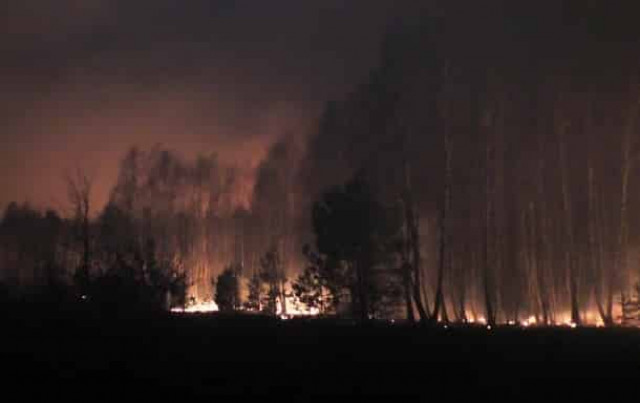 Уже седьмой день: в зоне ЧАЭС продолжается пожар