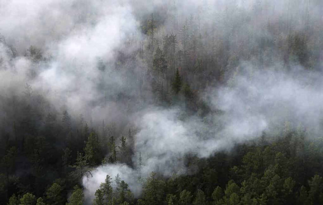 Firefighters combating wildfires on over 228,000 hectares in Russian regions