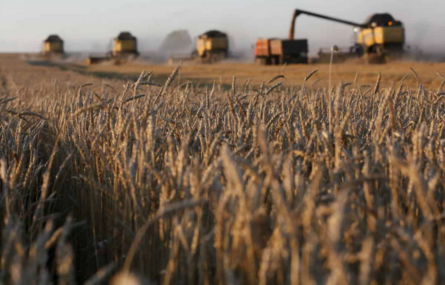 Ukrainian farmers thresh almost 40 mln tonnes of grain as of Sept 9

