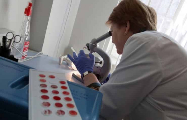 Ученые Гарвардского университета научились выращивать клетки, производящие инсулин