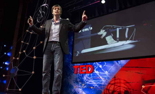 Вживленный в спинной мозг беспроводной имплант поставил на ноги обезьяну