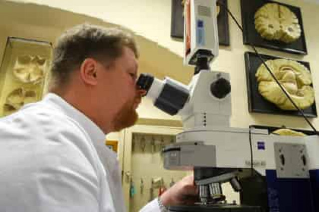 Доказана польза овощей в борьбе с раком