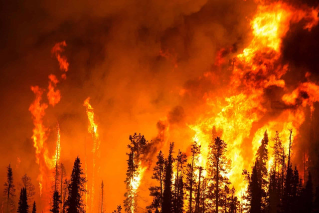 Масштабні лісові пожежі на Канарах: всіх жителів і туристів евакуювали