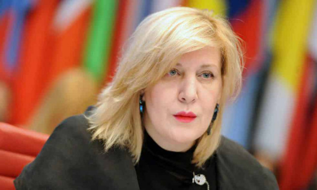 В Совете Европы призвали ВРУ отложить голосование за языковой закон