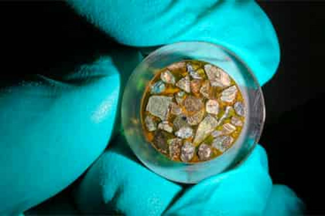 Под Марианской впадиной нашли следы жизни