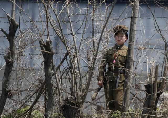 В Северной Корее обнаружены сотни полигонов для публичных казней
