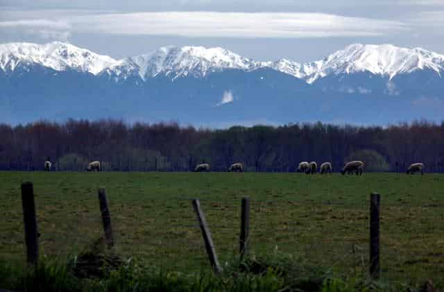 Missing British hiker found dead in New Zealand: police