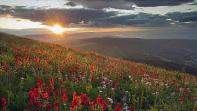 13 августа: какой сегодня праздник и приметы дня