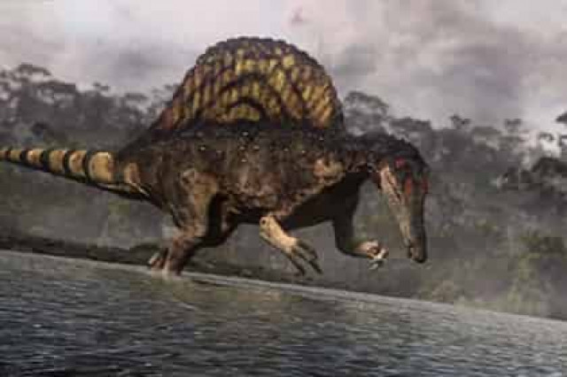 Крупнейший хищный динозавр оказался плодом эволюционного эксперимента