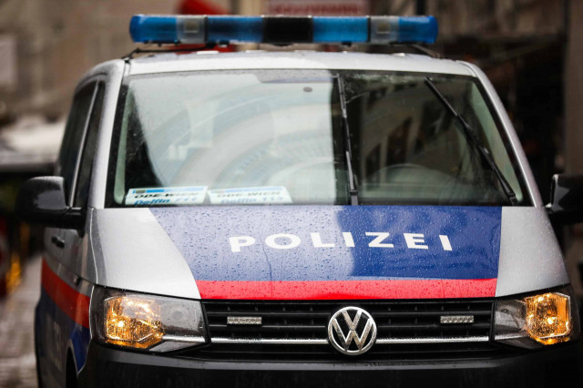 В Австрії політик стріляв по портретам президента