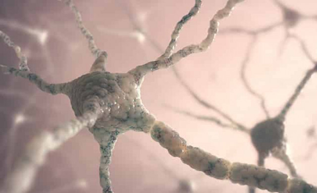 Процесс обучения и мозговая акробатика