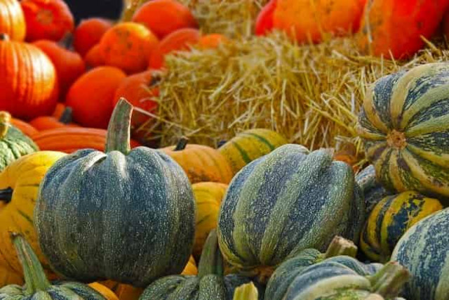 14 сентября: какой сегодня праздник и приметы дня