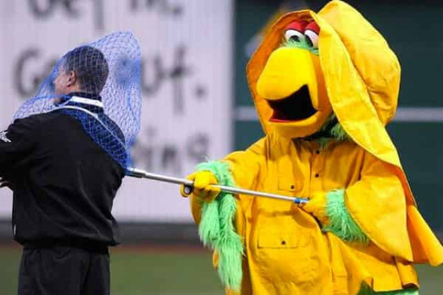 Клюв закрой