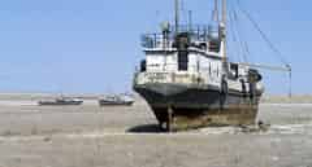 Казахстан і Узбекистан проведуть кордон по висохлому дну Аралу